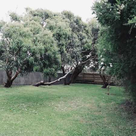 Red Ceder Cottage - Great Ocean Road - Port Campbell Extérieur photo